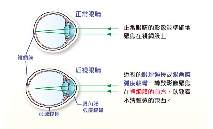 香港理工大學提供