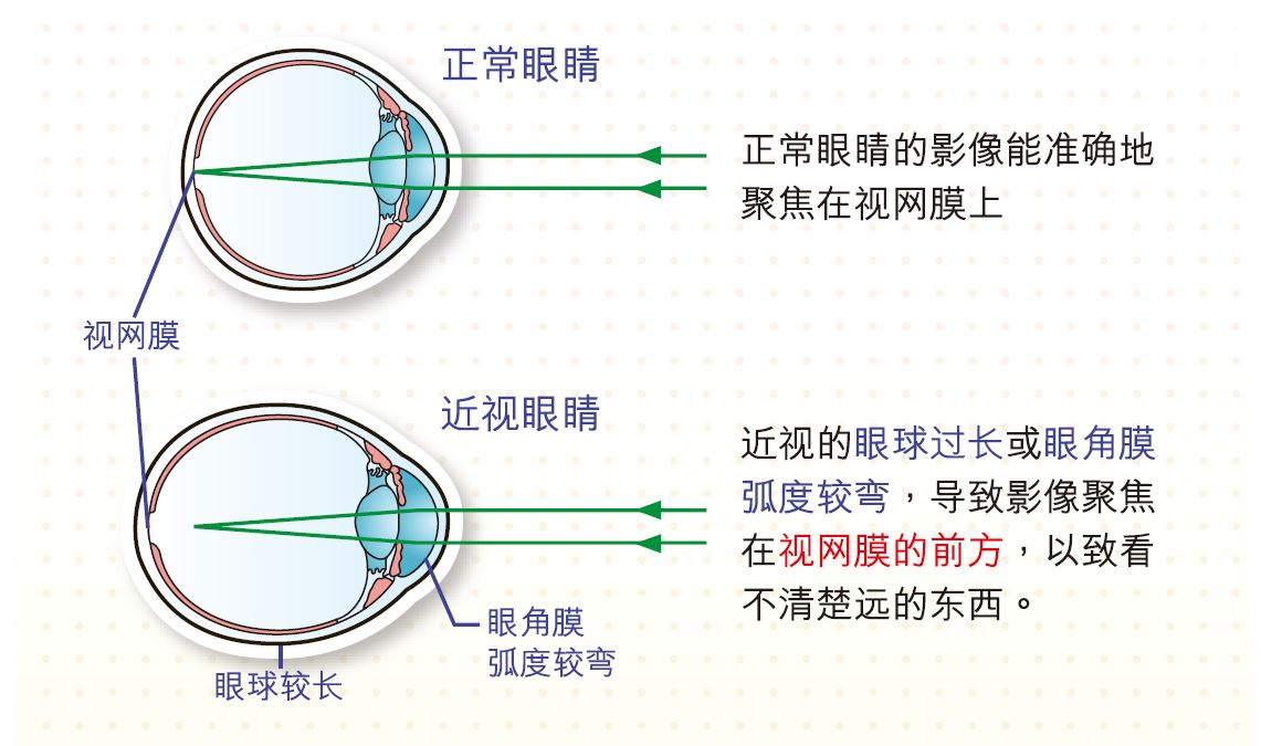 香港理工大学提供