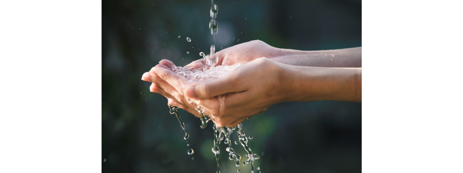 Hong Kong is one of the pioneers at saving water!