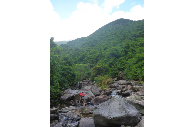 Researcher hiking along stream for turtle trapping